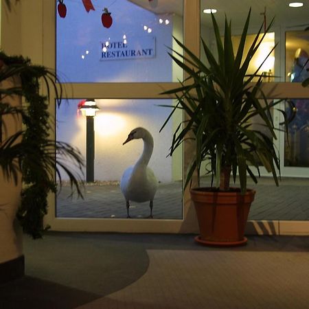 Seehotel Luisenhof Falkenhagen  Bagian luar foto